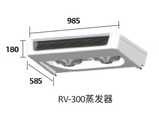 RV-300(圖2)